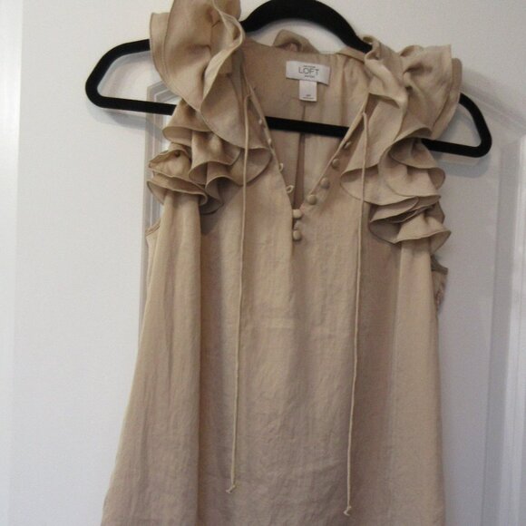 Ann Taylor LOFT Petites "Raw Silk" Oyster colored sleeveless shift, size 4P - Picture 5 of 14